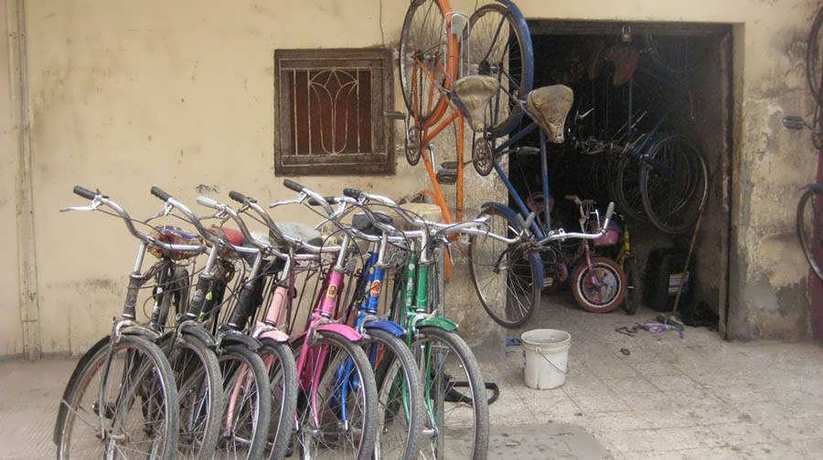 Luxor Bicycle Rent Egypt