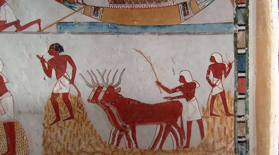 Copy of wall painting from private tomb 69 of Menna 