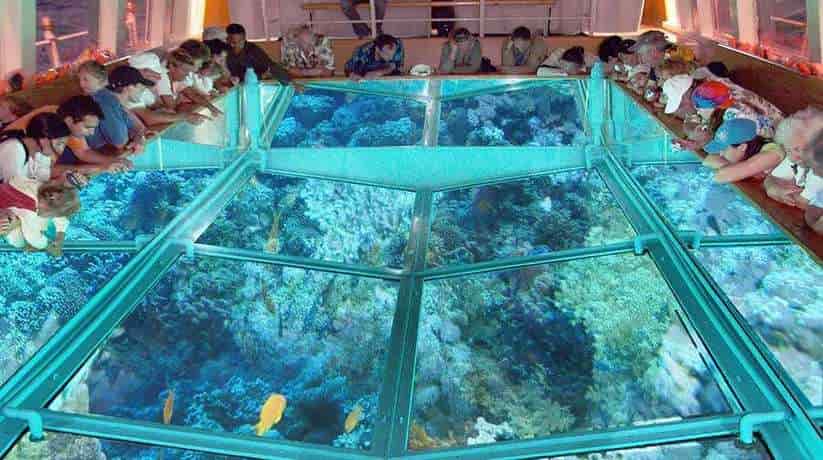 Hurghada Glass Bottom Boat