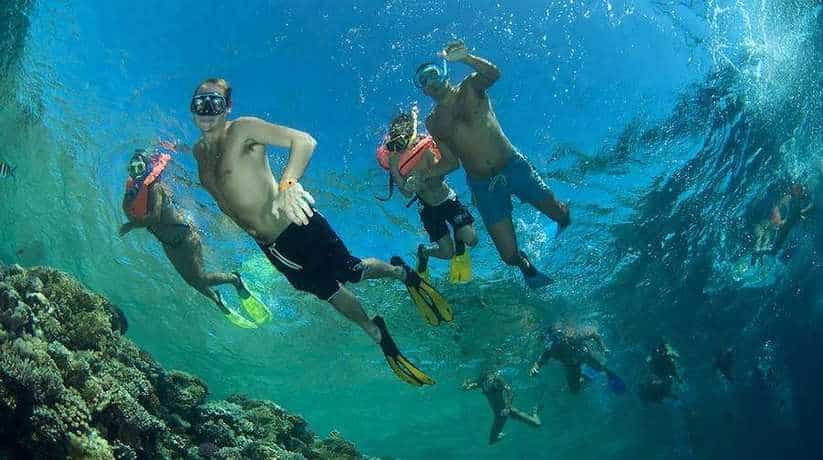 Egypt Snorkeling information, tours, prices, online booking