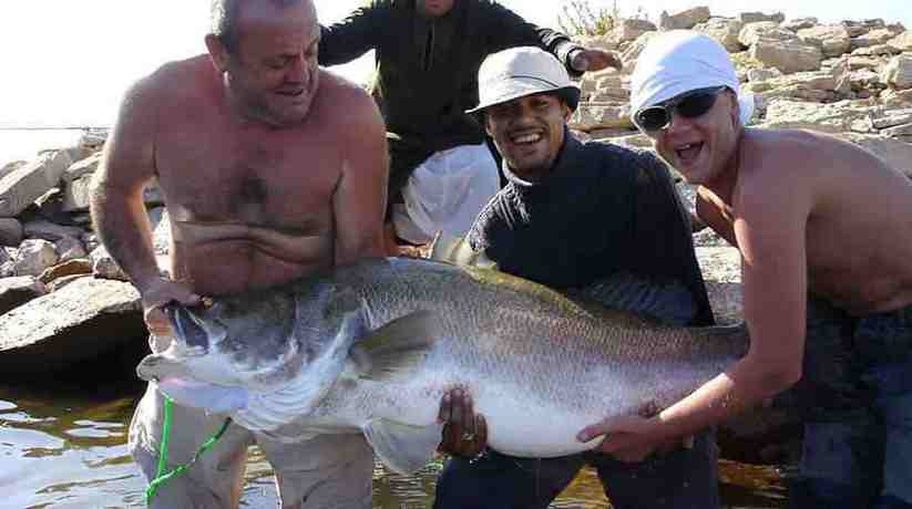 Fishing in Lake Nasser Egypt