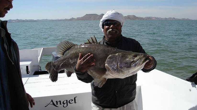 Fishing in Lake Nasser Egypt