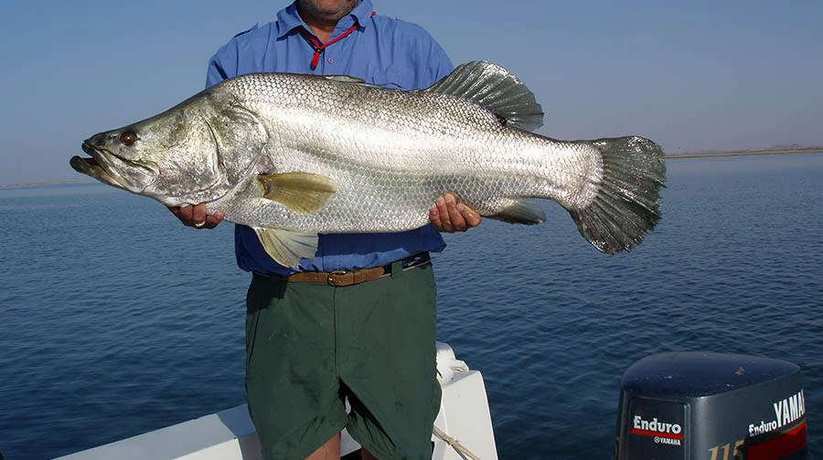 Fishing in Lake Nasser Egypt