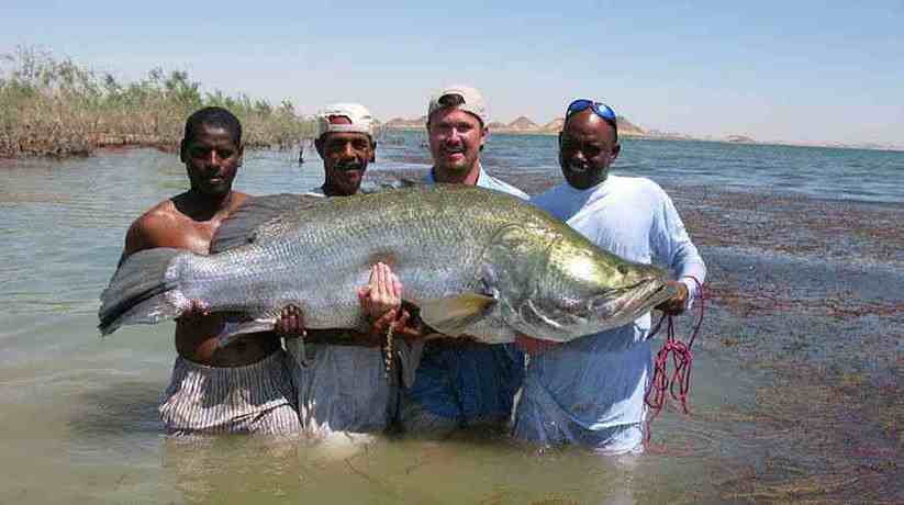 Fishing in Lake Nasser Egypt