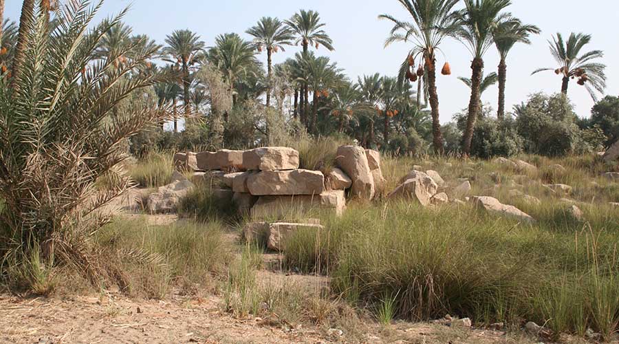 Biahmu Fayoum Egypt