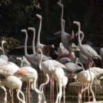 Cairo Nature Exploration