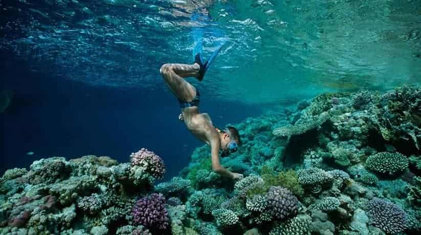 Ain Sokhna Snorkeling