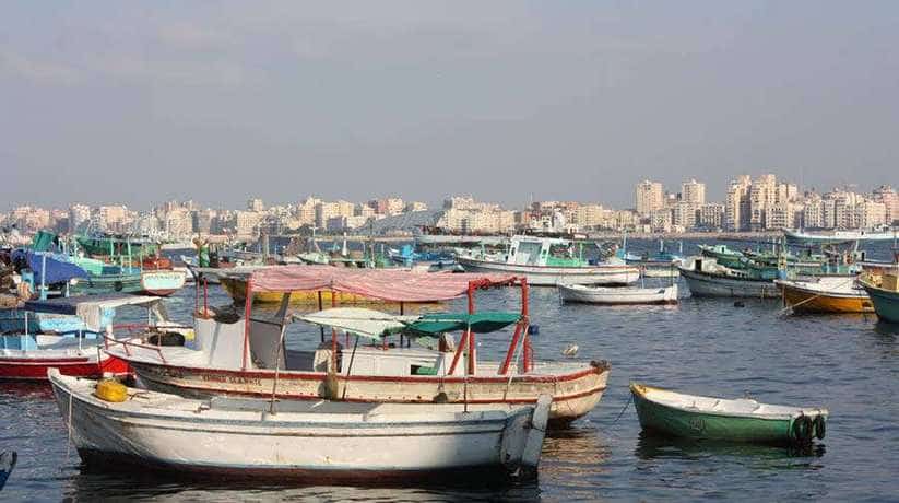 Alexandria Fishing Egypt