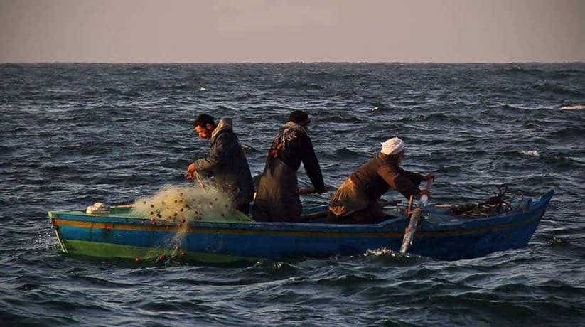 Alexandria Fishing Egypt