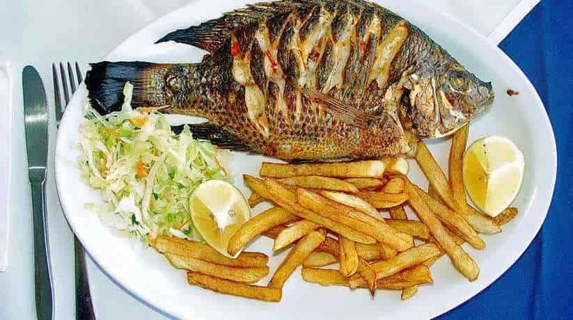 Alexandria Middle Eastern Cuisine Restaurants