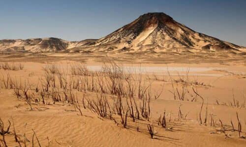 Bahariya Oasis White desert Safari tour