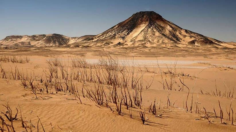 Bahariya Oasis White desert Safari tour