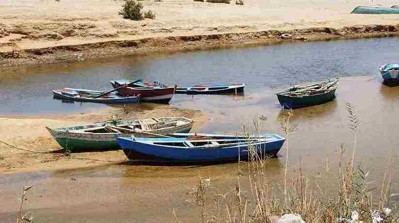 Camel Trekking Wadi El Rayan