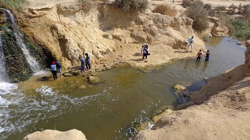 Camel Trekking Wadi El Rayan