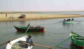 Fayoum tour from Cairo