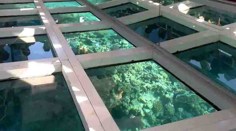 Hurghada Glass Bottom Boat tour