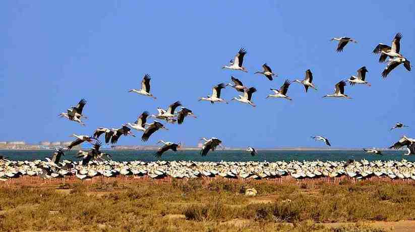 Ain Sokhna Egypt