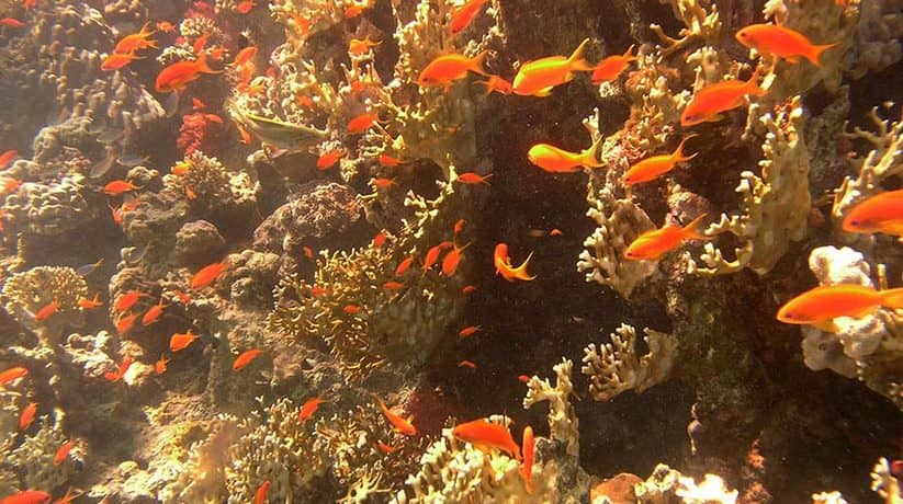 The Caves Dahab Egypt