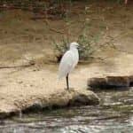 Wadi El Rayan Fayoum