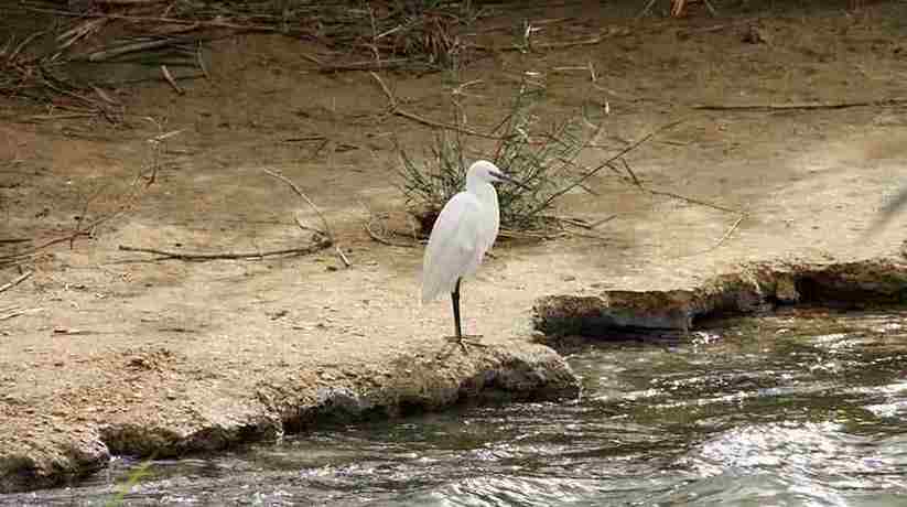 Wadi El Rayan Fayoum