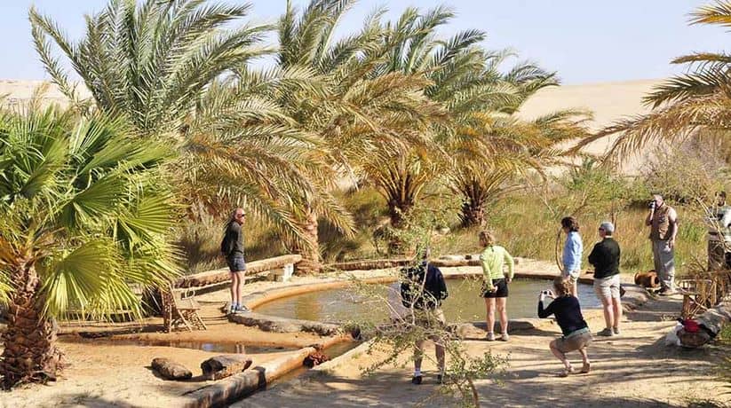 Bir Wahed Siwa Oasis