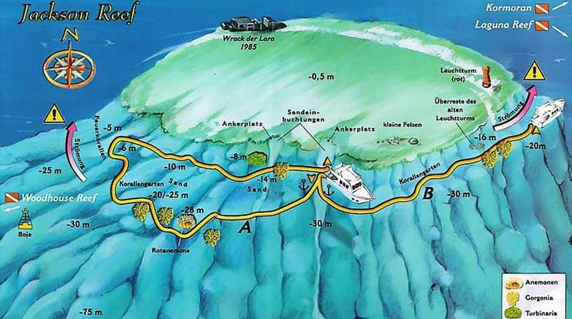 Jackson Reef Sharm Egypt