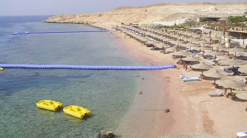 Sharks Bay Sharm