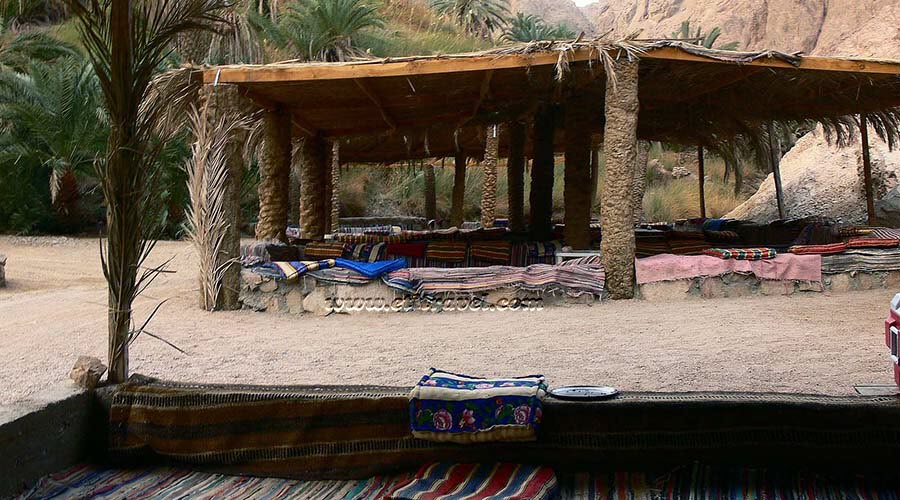 Bedouin Village 4x4 Safari