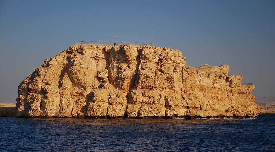 Shark Observatory Sharm