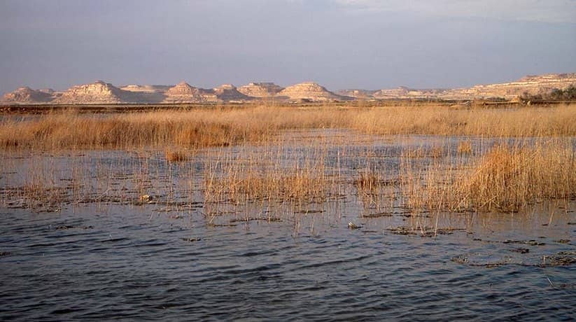 Fatnas Island Siwa Oasis