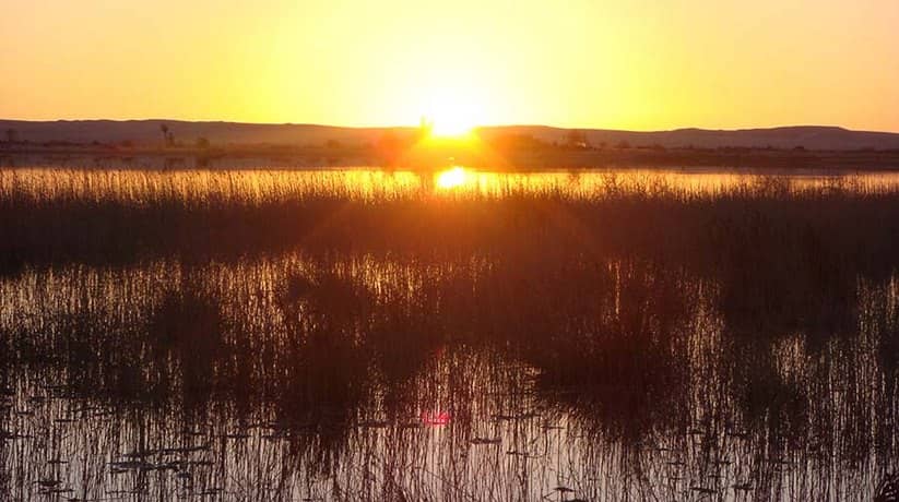 Fatnas Island Siwa Oasis