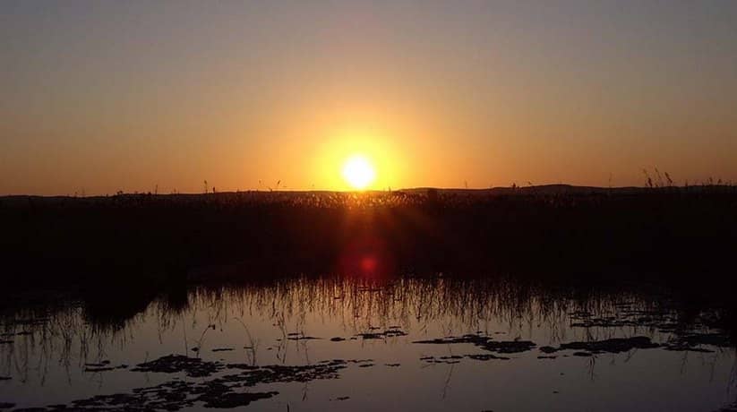 Fatnas Island Siwa Oasis