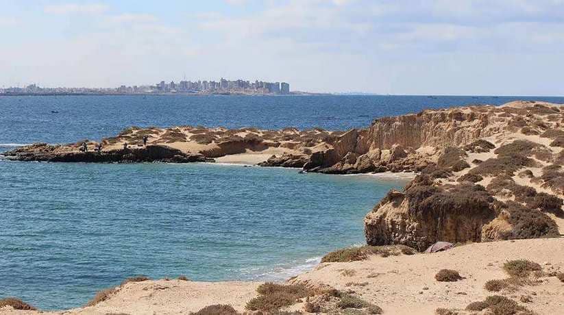 Nelsons Island Alexandria