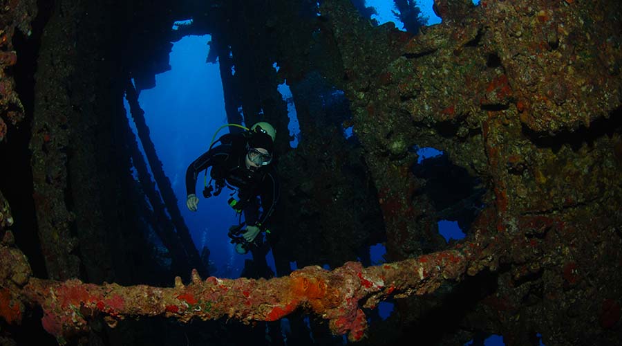 Egypt Wreck diving