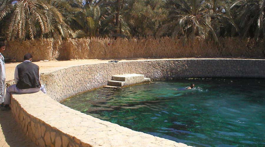 Cleopatra Spring Siwa Oasis