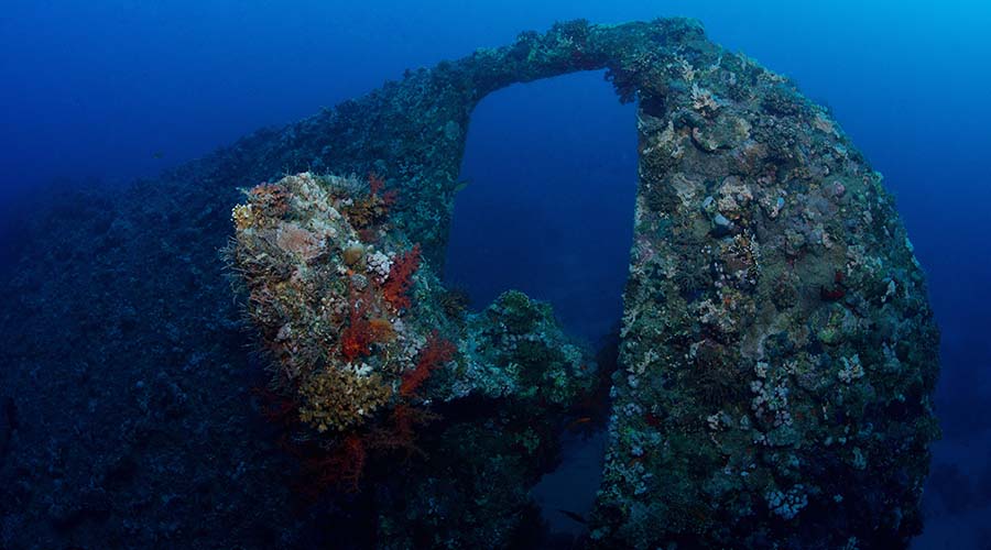 Dunraven Shipwreck Sharm