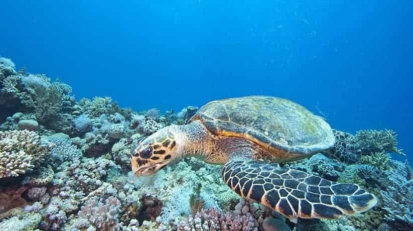 Gabr El Bint Dahab
