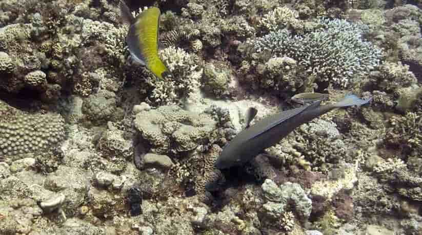Gabr El Bint Dahab