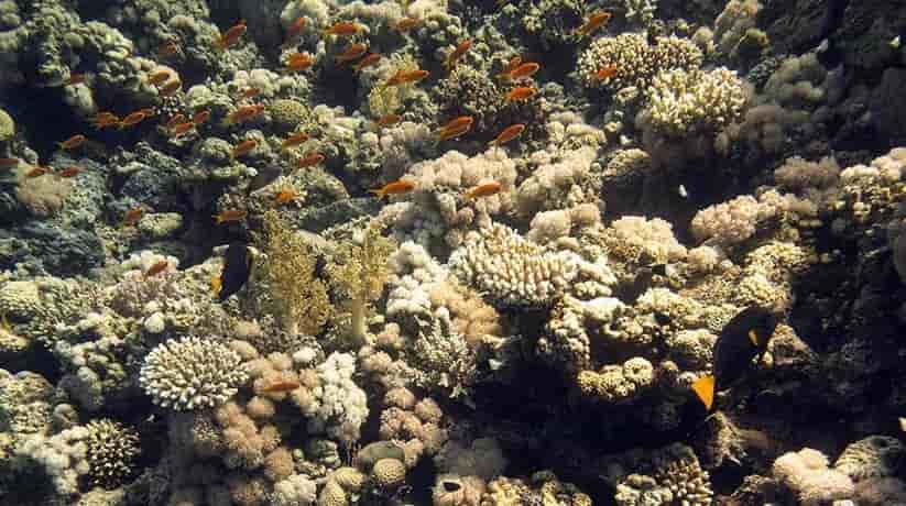 Gabr El Bint Dahab