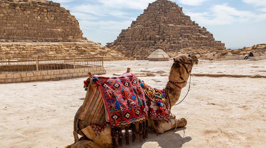 Giza Camel Ride Egypt