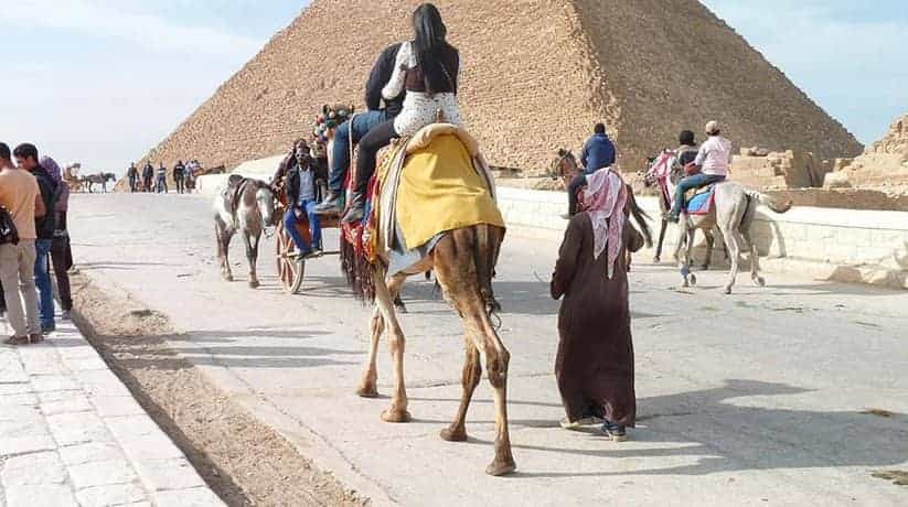 Giza Camel Ride Egypt