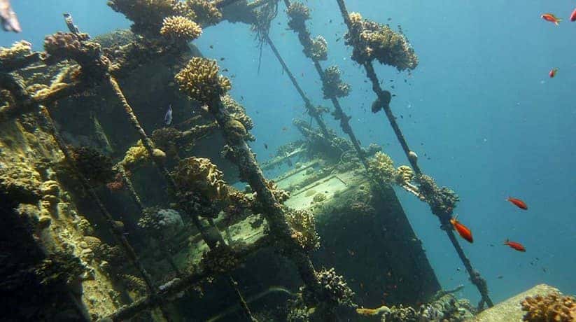 Egypt Wreck diving