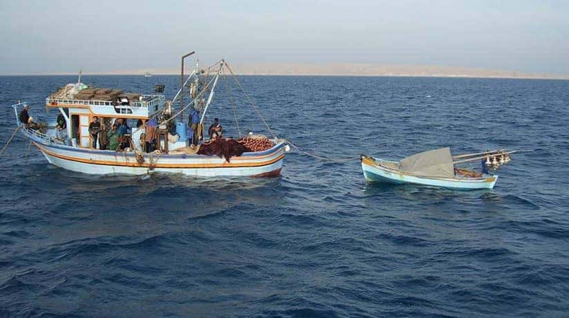 Egypt Fishing