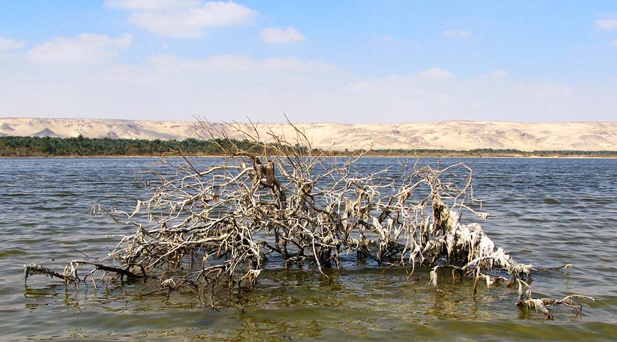 Lake Marun Bahariya oasis