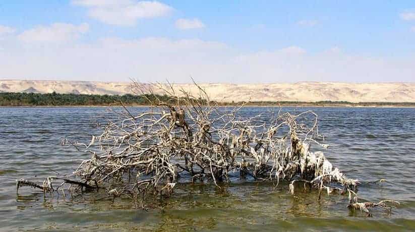 Bahariya Oasis Egypt