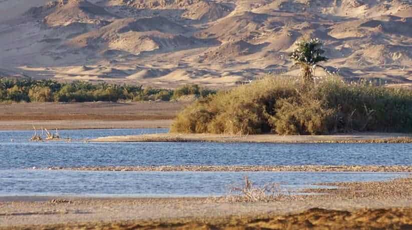 Bahariya Oasis Egypt