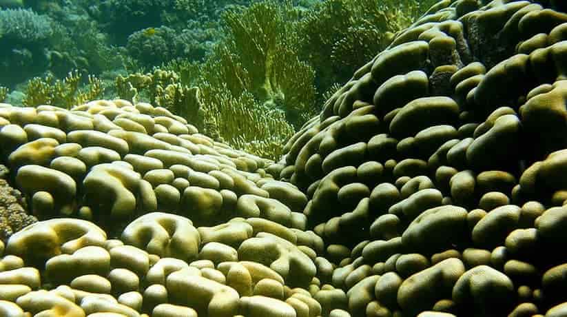 Sharm Dahab diving tour