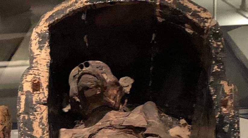 Mummification Museum Luxor