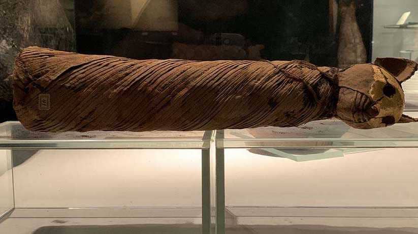 Mummification Museum Luxor