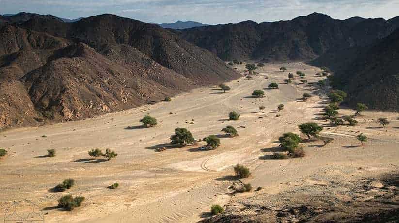 Wadi El Allaqi Aswan